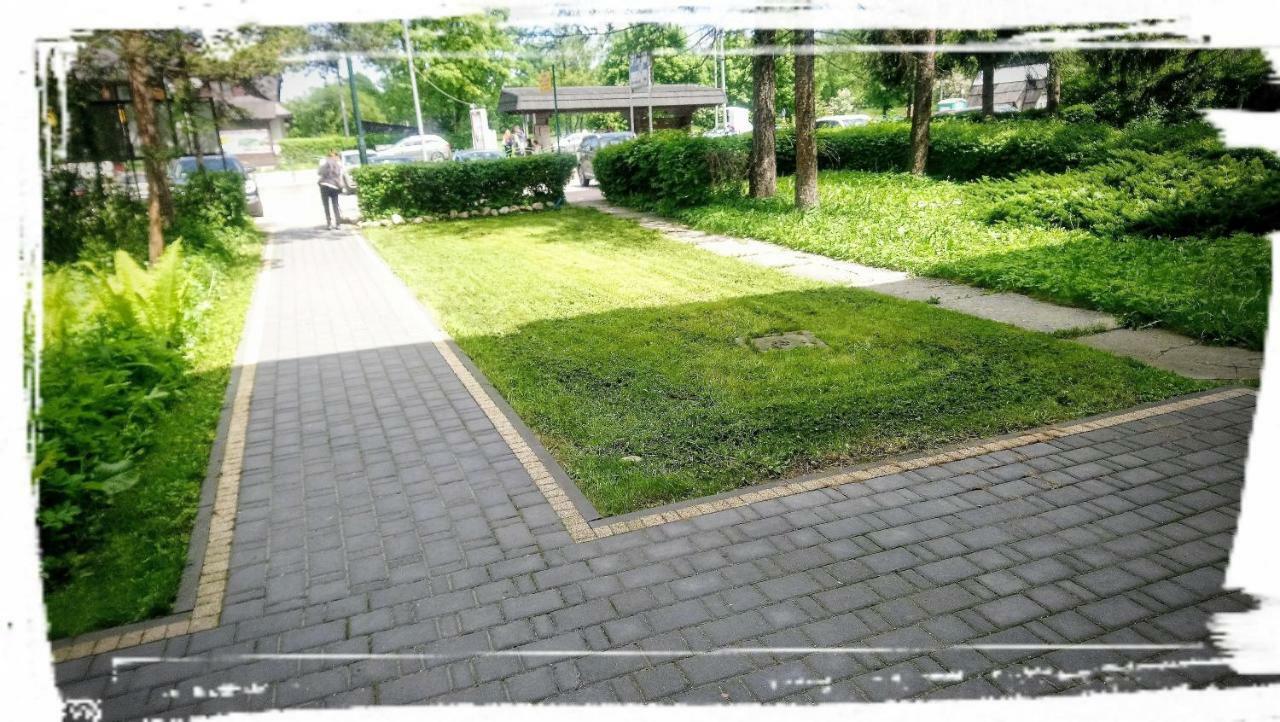 Pokoje W Centrum "Cicha" زاكوباني المظهر الخارجي الصورة